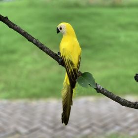 Simulation Animal Parrot Tree Landscaping Decoration (Option: 25CM Yellow Parrot)