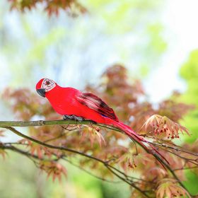 Simulation Animal Parrot Tree Landscaping Decoration (Option: 25CM Red Parrot)