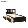 Twin Platform Storage Bed Wood Bed Frame with Two Drawers and Headboard