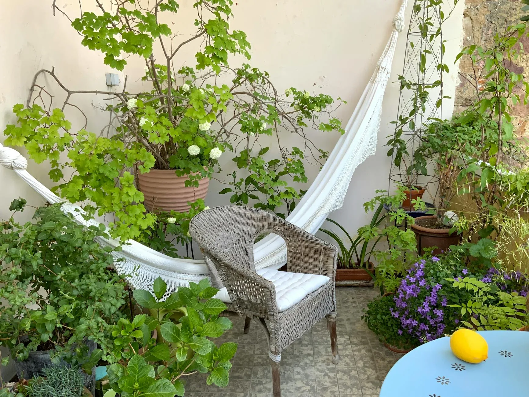 modern editorial outdoor space idea: Hammock Haven with cream and warm neutrals with sage green and terracotta accents, designer-curated outdoor