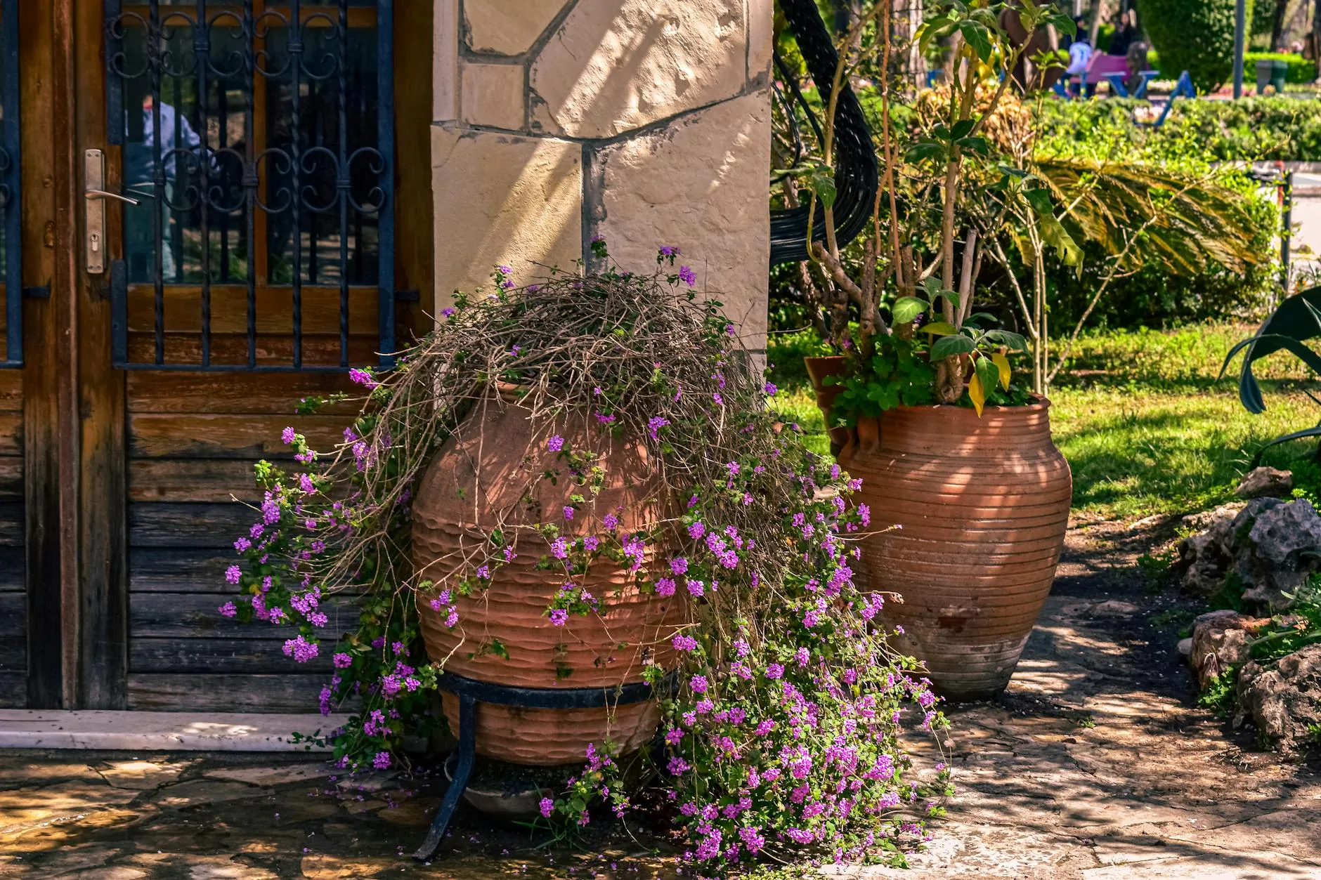 modern editorial outdoor space idea: Outdoor Art Displays with cream and warm neutrals with sage green and terracotta accents, designer-curated