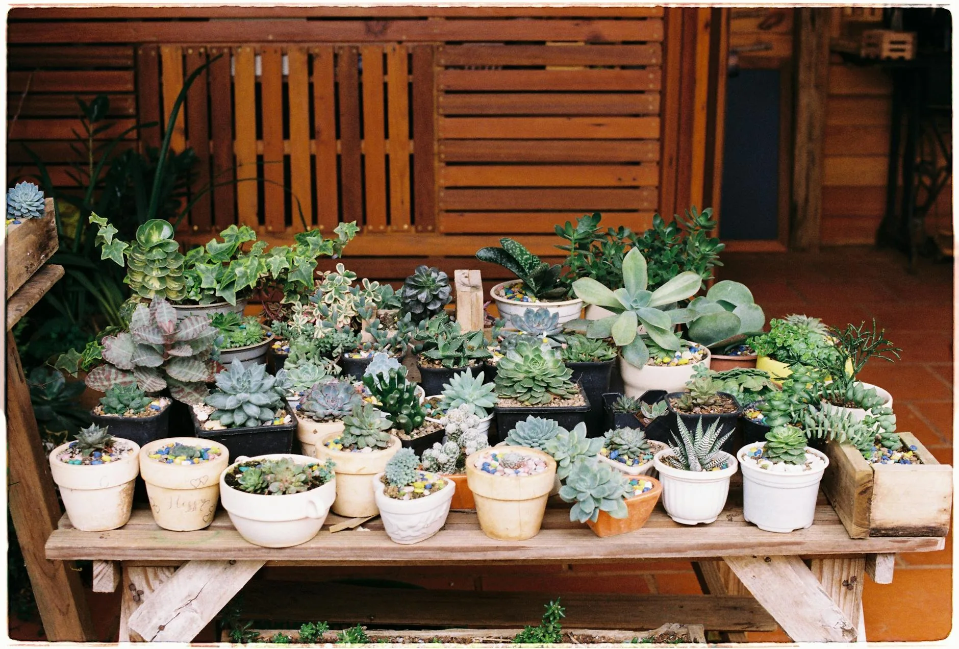modern editorial outdoor space idea: Outdoor Shelving with cream and warm neutrals with sage green and terracotta accents, designer-curated outdoor