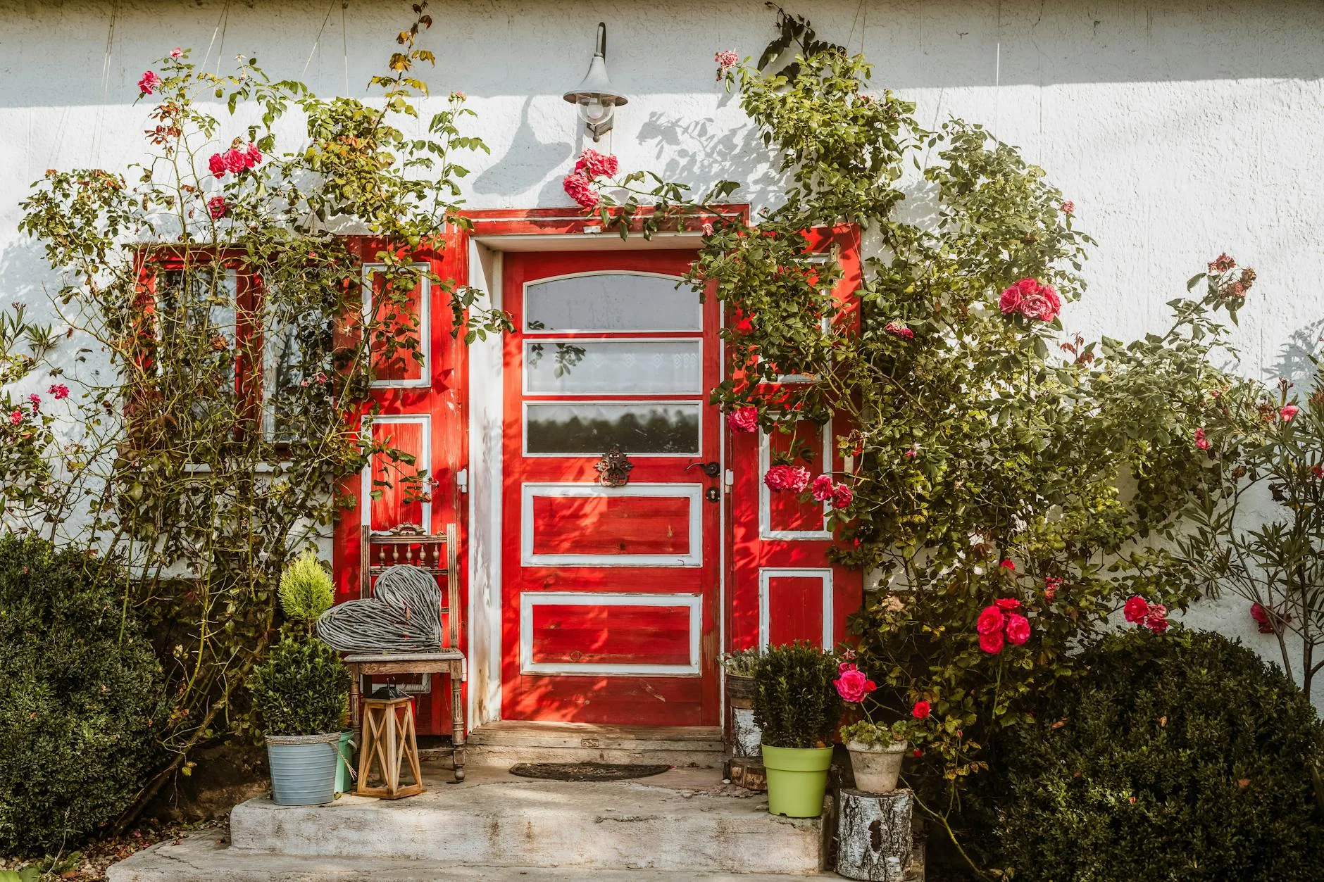 modern editorial outdoor space idea: Trellises and Climbers with cream and warm neutrals with sage green and terracotta accents, designer-curated